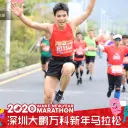 莽小石